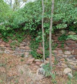 Kerekikáli templomrom