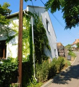 Kikelet Pince & Ízműhely