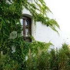 Kikelet Pince & Ízműhely Tarcal - Külső kép