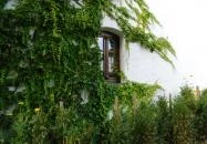 Kikelet Pince & Ízműhely Tarcal