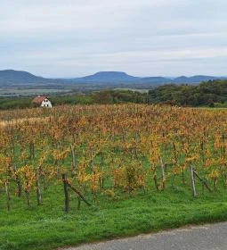 Kilátó a Szűz Mária kápolna mellett