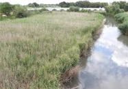 Kilenclyukú híd Hortobágy