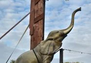 Kimba Elefánt Park Töltéstava