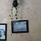 Tian Tian Jian kínai büfé - Budafoki út Budapest - Egyéb