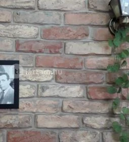 Tian Tian Jian kínai büfé - Budafoki út