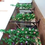 Kínai Büfé - Budafoki út Budapest - Egyéb