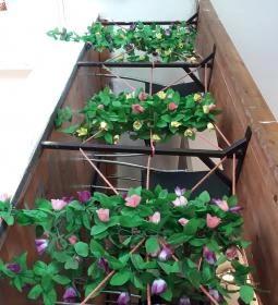 Kínai Büfé - Budafoki út