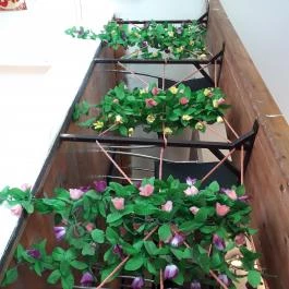 Kínai Büfé - Budafoki út, Budapest - Egyéb