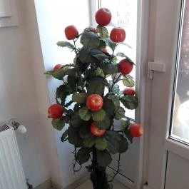 Red Fruit Kínai Étterem Biatorbágy - Egyéb