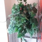 Red Fruit Kínai Étterem Biatorbágy - Egyéb