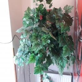 Red Fruit Kínai Étterem Biatorbágy - Egyéb