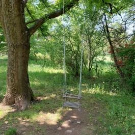 Kinga Kamrája, Káptalantóti - Egyéb