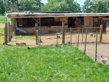 Kinga Kamrája Káptalantóti