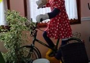 Király Kávéház Répcelak