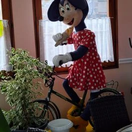 Király Kávéház Répcelak - Egyéb