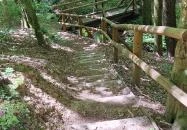 Királykút Telkibánya