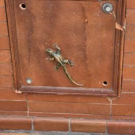 Királyok kútja Vasvár - Külső kép