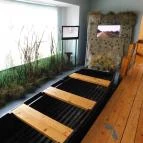 Kis-Balaton Ház Zalavár - 