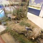 Kis-Balaton Ház Zalavár - 