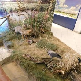 Kis-Balaton Ház Zalavár - Egyéb