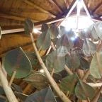 Kis-Balaton Ház Zalavár - 