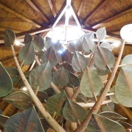 Kis-Balaton Ház Zalavár - Egyéb