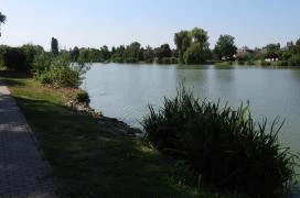 Kisbéri Park-tó Kisbér