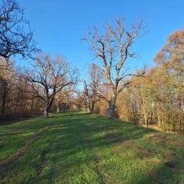 Kisbukó gát Sonkád - Külső kép