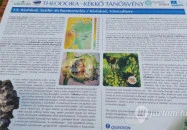 Kisfaludi templomrom Mindszentkálla