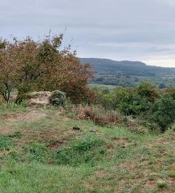 Kisfaludi templomrom