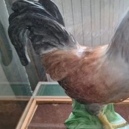 Kisfaludy Sándor Emlékház Sümeg - Egyéb