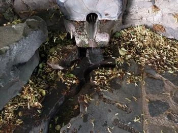 Kisfaludy forrás Badacsonytomaj