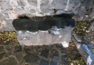 Kisfaludy forrás Badacsonytomaj