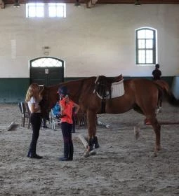 Kiskastély, Magyar Királyi Lovarda