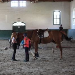 Kiskastély, Magyar Királyi Lovarda, Kisbér - Belső