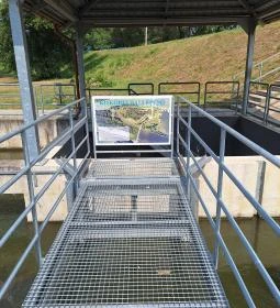 Kiskörei Hallépcső