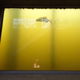 Kiskörei Hallépcső Kisköre - Egyéb