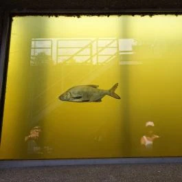 Kiskörei Hallépcső Kisköre - Egyéb