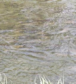 Kiskörei Hallépcső