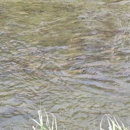 Kiskörei Hallépcső Kisköre - Egyéb