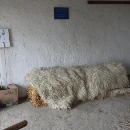 Kiskun Emlékhely, Szank - Egyéb