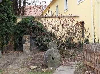 Kiskun Múzeum Kiskunfélegyháza