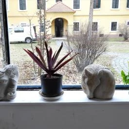 Kiskun Múzeum, Kiskunfélegyháza - Egyéb