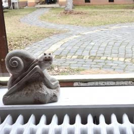 Kiskun Múzeum, Kiskunfélegyháza - Egyéb