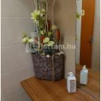 Kistücsök Étterem, Borpince & Vinotéka Balatonszemes - Egyéb