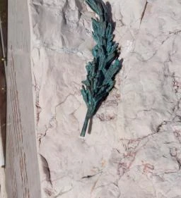 Kitelepítési emlékmű