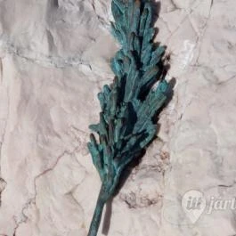 Kitelepítési emlékmű, Vértesboglár - Egyéb