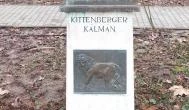 Kittenberger Kálmán Nagymaros - Egyéb