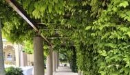 Klebelsberg Kastély és Emlékház Budapest - Külső kép