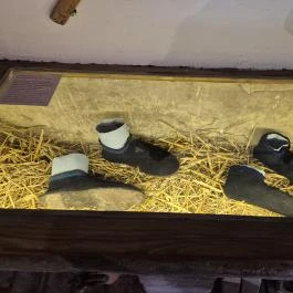 Klumpások kiállítás Feked - Egyéb